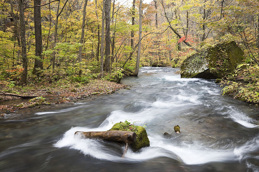 River water that can be tested at WESSLING