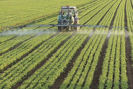 L’analyse de pesticides dans les aliments